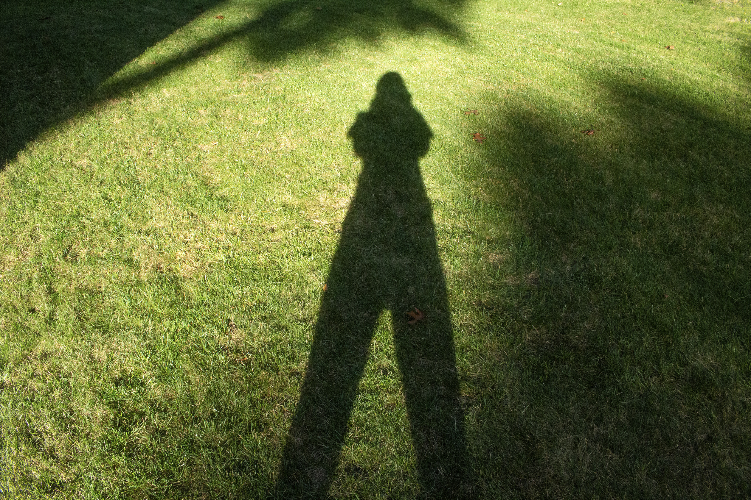photograph of Katie May Howarth's shadow on a lawn of bright green grass